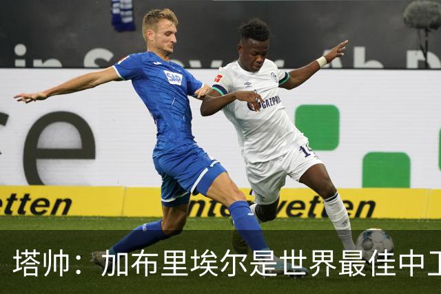 塔帅：加布里埃尔是世界最佳中卫之一，他在两个禁区的作用太强了