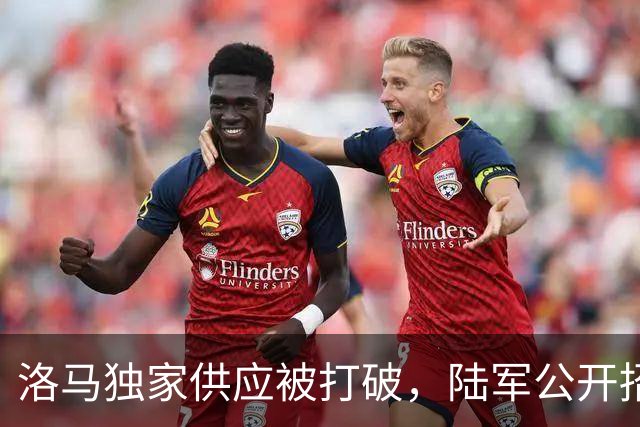 洛马独家供应被打破，陆军公开招标第二家，海马斯导弹要上量了