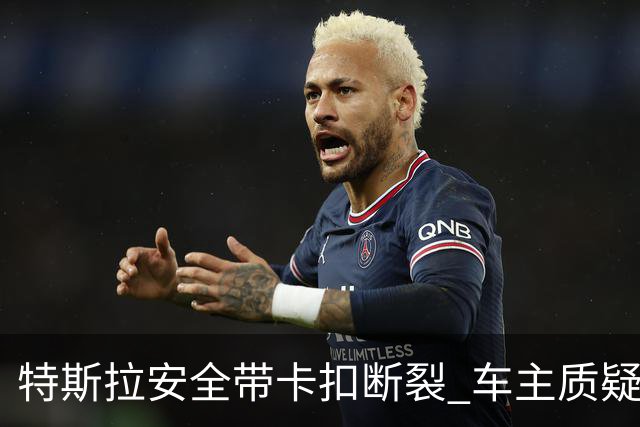 特斯拉安全带卡扣断裂 车主质疑质量缺陷