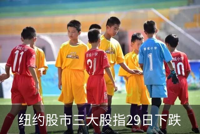 纽约股市三大股指29日下跌