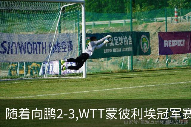 随着向鹏2-3,WTT蒙彼利埃冠军赛男单16强已出15席：仅3名国乒选手
