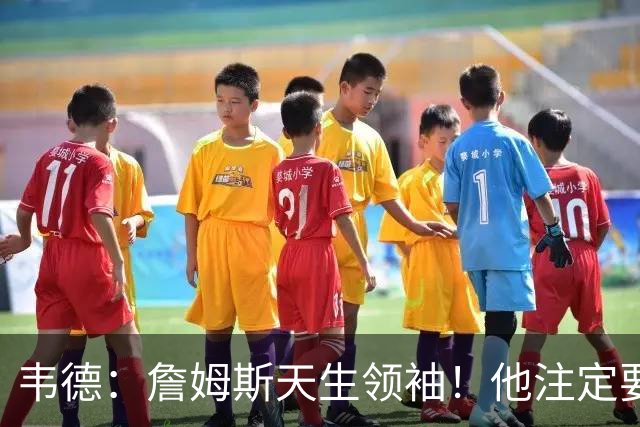 韦德：詹姆斯天生领袖！他注定要当老大！