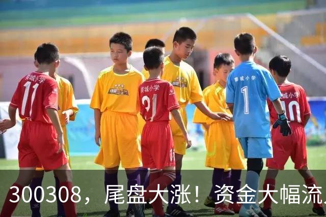 300308，尾盘大涨！资金大幅流入